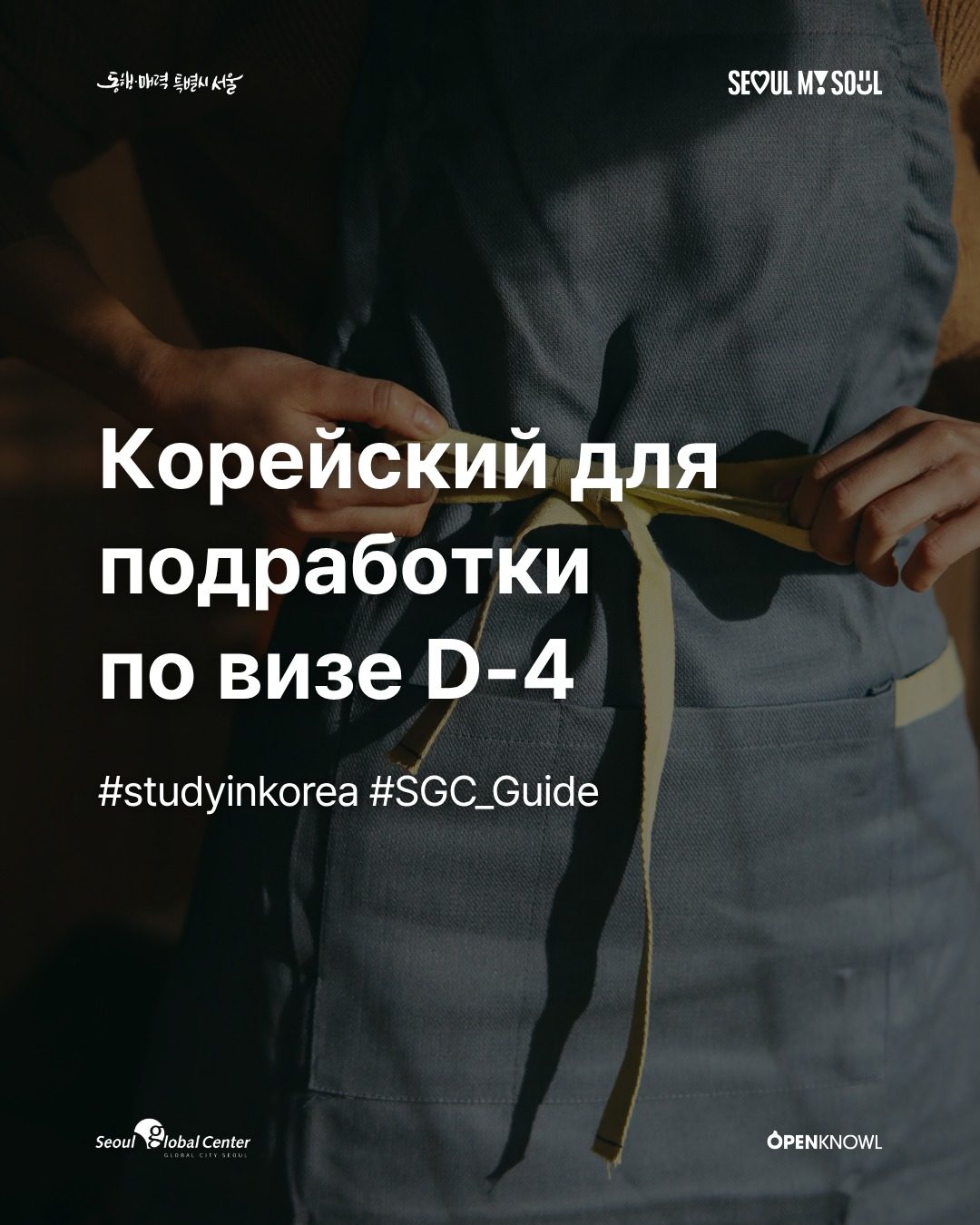 #SGC_Guide | Корейский для подработки по визе D-4

Вы изучаете корейский язык п…