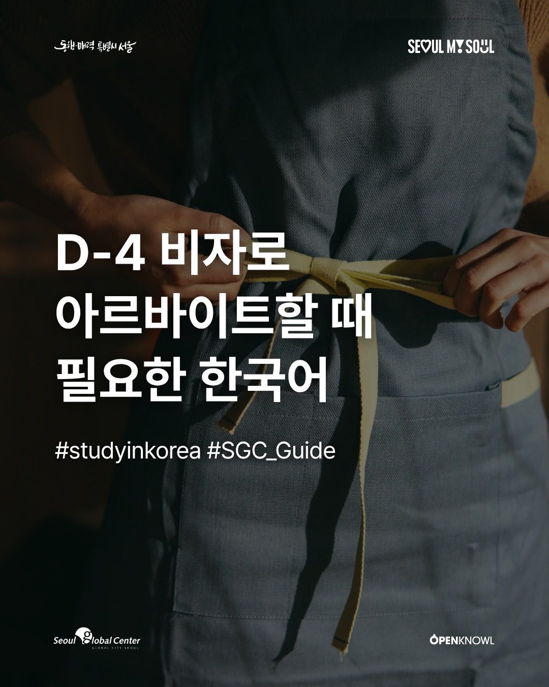#SGC_Guide | D-4 비자로 아르바이트할 때 필요한 한국어

D-4 비자로 어학연수 중인데
한국에서 아르바이트를 하고 싶나요? 🤔

일반적으로 어학연수생은 입국일 또는 …